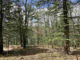 188 Rattlesnake Mountain Road - Photo 20