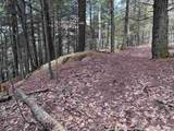 188 Rattlesnake Mountain Road - Photo 21