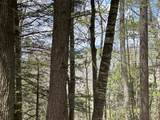 188 Rattlesnake Mountain Road - Photo 23