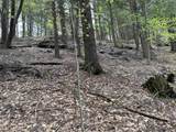 188 Rattlesnake Mountain Road - Photo 27
