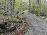 188 Rattlesnake Mountain Road - Photo 3