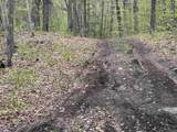 188 Rattlesnake Mountain Road - Photo 30