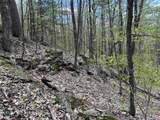 188 Rattlesnake Mountain Road - Photo 31
