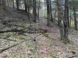 188 Rattlesnake Mountain Road - Photo 32