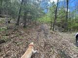 188 Rattlesnake Mountain Road - Photo 33