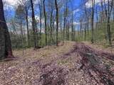 188 Rattlesnake Mountain Road - Photo 35