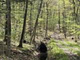 188 Rattlesnake Mountain Road - Photo 36