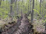 188 Rattlesnake Mountain Road - Photo 37
