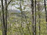 188 Rattlesnake Mountain Road - Photo 5