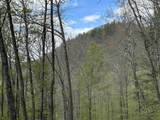 188 Rattlesnake Mountain Road - Photo 6