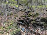 188 Rattlesnake Mountain Road - Photo 7