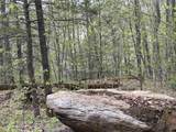 188 Rattlesnake Mountain Road - Photo 9