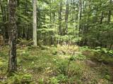  Crotty Drive - Photo 16