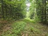  Crotty Drive - Photo 25