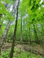 00 Monadnock Highway - Photo 5