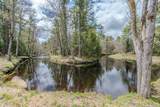 Map 9 Lot 2 Beech Ridge Road - Photo 11