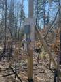 Map 9 Lot 2 Beech Ridge Road - Photo 13