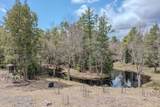 Map 9 Lot 2 Beech Ridge Road - Photo 43