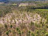 Lot 0-1-2 Pierce Lake Road - Photo 15
