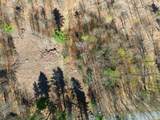 Lot 0-1-2 Pierce Lake Road - Photo 28