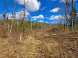 2900 Old Duck Pond Road - Photo 5
