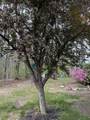 4 Sunset Drive - Photo 31