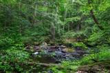 433 Nh Route 25A - Photo 7