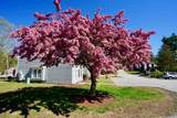 5 Boulder Way - Photo 24