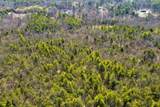 207 Durrell Mountain Road - Photo 10