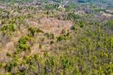 207 Durrell Mountain Road - Photo 11