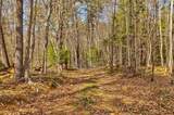 207 Durrell Mountain Road - Photo 18