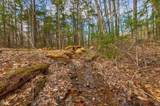 207 Durrell Mountain Road - Photo 29