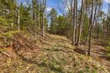 207 Durrell Mountain Road - Photo 39