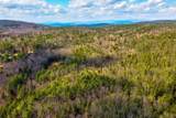 207 Durrell Mountain Road - Photo 8