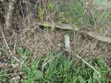 168 Border Road - Photo 6