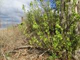 168 Border Road - Photo 7