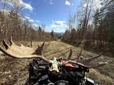 6539 Vt Route 100 - Photo 40
