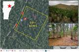 280 Guyette Road - Photo 1