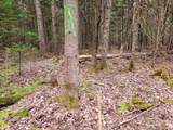 280 Guyette Road - Photo 12