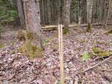 280 Guyette Road - Photo 13