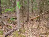 280 Guyette Road - Photo 18
