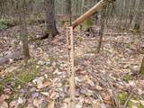 280 Guyette Road - Photo 19