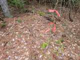 280 Guyette Road - Photo 34