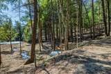 5209 Willard Road - Photo 10
