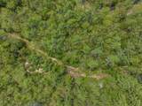 lot 15 Pine Point Road - Photo 3