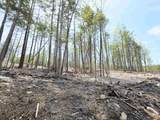  Map 417 Lot 51-1 Shannon Road - Photo 7