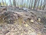  Map 417 Lot 51-1 Shannon Road - Photo 8