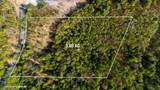 82 Bear Paw Trail - Photo 10