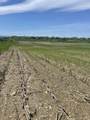 1499 Hinesburg Road - Photo 2