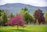 2677 Route 30 - Photo 5